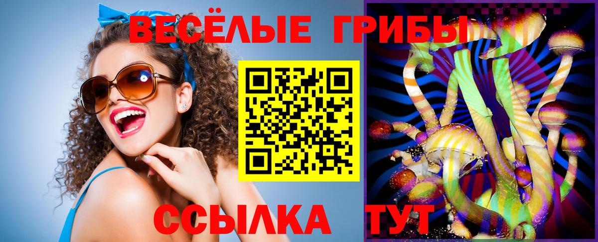 Галлюциногенные грибы Psilocybine cubensis Миллерово